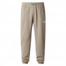 Мужские брюки The North Face Simple Dome Light 0A8C412MB1 - серые