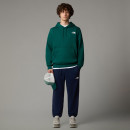 Мужские брюки The North Face Simple Dome Light 0A8C418K21 - темно-синие