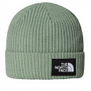 Детская шапка The North Face Beanie Salty 0A8CGSBQ11 - зеленая