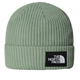 Детская шапка The North Face Beanie Salty 0A8CGSBQ11 - зеленая