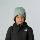 Детская шапка The North Face Beanie Salty 0A8CGSBQ11 - зеленая