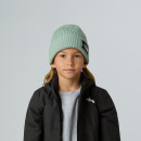 Детская шапка The North Face Beanie Salty 0A8CGSBQ11 - зеленая