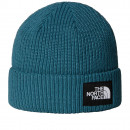 Шапка The North Face Beanie Salty 0A8CGZBQ51 - голубая