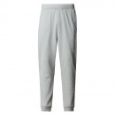 Мужские брюки The North Face Joggers Reaxion 0A8CNQJKS1 - серые