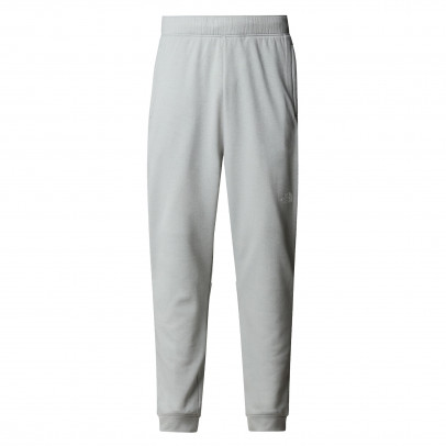 Мужские брюки The North Face Joggers Reaxion 0A8CNQJKS1 - серые