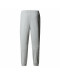 Мужские брюки The North Face Joggers Reaxion 0A8CNQJKS1 - серые