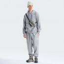 Мужская толстовка The North Face Evolution Simple Dome 0A8CWMCQO1 - серая