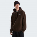 Мужская толстовка The North Face Evolution Simple Dome 0A8CWMNMF1 - коричневая