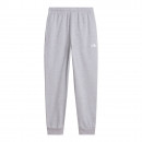 Мужские брюки The North Face Evolution Simple Dome 0A8CWYCQO1 - серые
