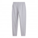 Мужские брюки The North Face Evolution Simple Dome 0A8CWYCQO1 - серые