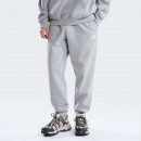 Мужские брюки The North Face Evolution Simple Dome 0A8CWYCQO1 - серые