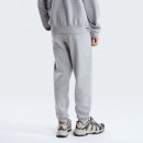 Мужские брюки The North Face Evolution Simple Dome 0A8CWYCQO1 - серые