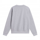 Мужская толстовка The North Face Evolution Simple Dome 0A8D60CQO1 - серая