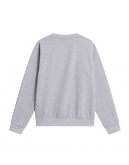 Мужская толстовка The North Face Evolution Simple Dome 0A8D60CQO1 - серая