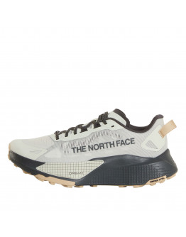 Мужская обувь The North Face Altamesa 500 V2 0A8DAJTFL1 - серые