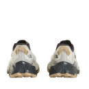Мужская обувь The North Face Altamesa 500 V2 0A8DAJTFL1 - серые