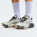 Мужская обувь The North Face Altamesa 500 V2 0A8DAJTFL1 - серые