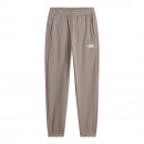Мужские брюки The North Face Reaxion 2.0 0A8DRSV0D1 - серые