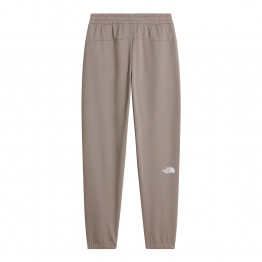 Мужские брюки The North Face Reaxion 2.0 0A8DRSV0D1 - серые