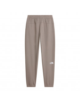 Мужские брюки The North Face Reaxion 2.0 0A8DRSV0D1 - серые