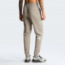 Мужские брюки The North Face Reaxion 2.0 0A8DRSV0D1 - серые
