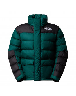 Женская куртка The North Face Limbara 0A8DZX1KI1 - зеленая