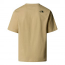 Мужская футболка The North Face Mountain 0A8E3MLK51 - бежевый