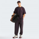 Мужская футболка The North Face Red Box 0A8EG50SA1 - коричневая