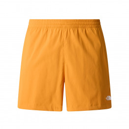 Мужские шорты The North Face Class V Pathfinder 5