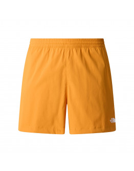 Мужские шорты The North Face Class V Pathfinder 5