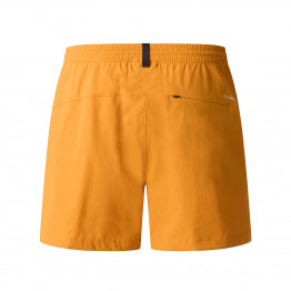 Мужские шорты The North Face Class V Pathfinder 5