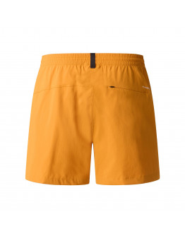 Мужские шорты The North Face Class V Pathfinder 5