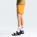 Мужские шорты The North Face Class V Pathfinder 5