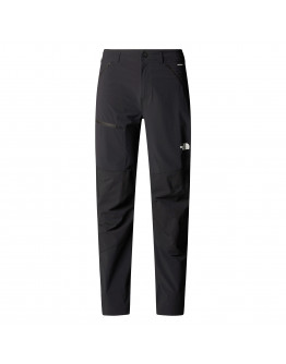 Мужские брюки The North Face Speedlight 0A8EKQJK31 - черные