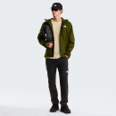 Мужские брюки The North Face Speedlight 0A8EKQJK31 - черные