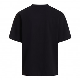 Мужская футболка The North Face Essential Simple Dome 0A8EVWJK31 - черная