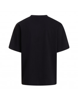 Мужская футболка The North Face Essential Simple Dome 0A8EVWJK31 - черная