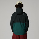 Мужская куртка The North Face Anorak Ersa 0A8FMR5861 - зелено-черная