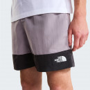 Мужские шорты The North Face Leynar 0A8FU8MO61 - серые