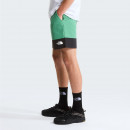 Мужские шорты The North Face Leynar 0A8FU8MOA1 - зеленые