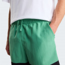 Мужские шорты The North Face Leynar 0A8FU8MOA1 - зеленые