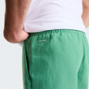 Мужские шорты The North Face Leynar 0A8FU8MOA1 - зеленые