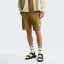 Мужские шорты The North Face Packable 0A8FUA2EL1 - коричневые