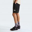 Мужские шорты The North Face Packable 0A8FUAJK31 - черные