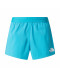 Женские шорты The North Face Lightbright 4