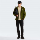 Мужская куртка The North Face Quest DryVent 0A8G0RBRI1 - зеленая