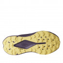 Женская обувь The North Face Altamesa 300 V2 0A8G6CJZU1 - фиолетовые