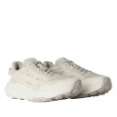 Мужская обувь The North Face Altamesa 300 V2 0A8G6M6S41 - бежевые