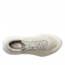 Мужская обувь The North Face Altamesa 300 V2 0A8G6M6S41 - бежевые