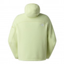 Унисекс толстовка The North Face NSE 0A8G91G6O1 - зеленая